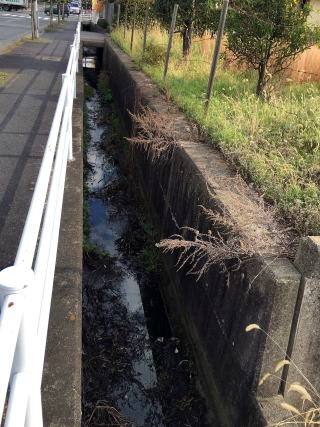 水路に橋を架ける工事前