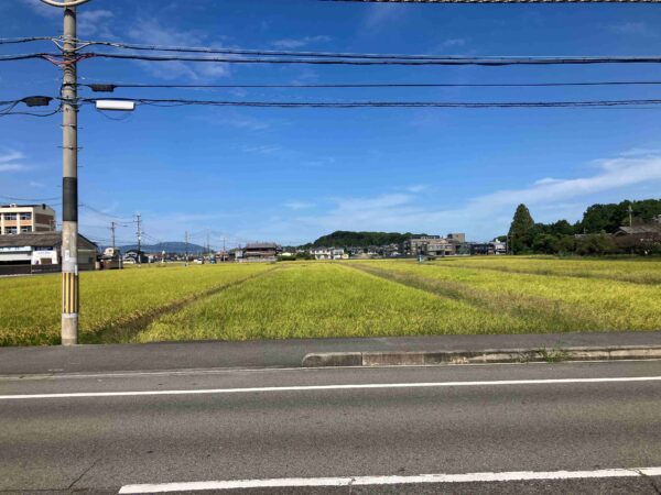 大和高田市池田農地物件