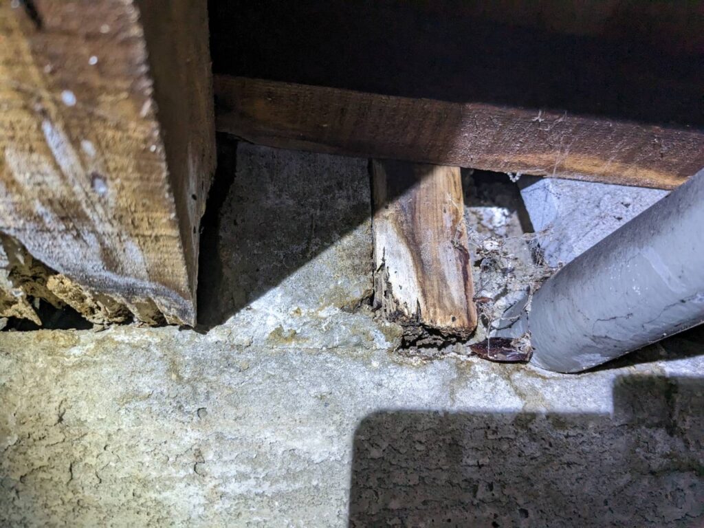 奈良県橿原市西池尻町床下補修シロアリ工事