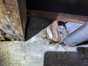 奈良県橿原市西池尻町床下補修シロアリ工事