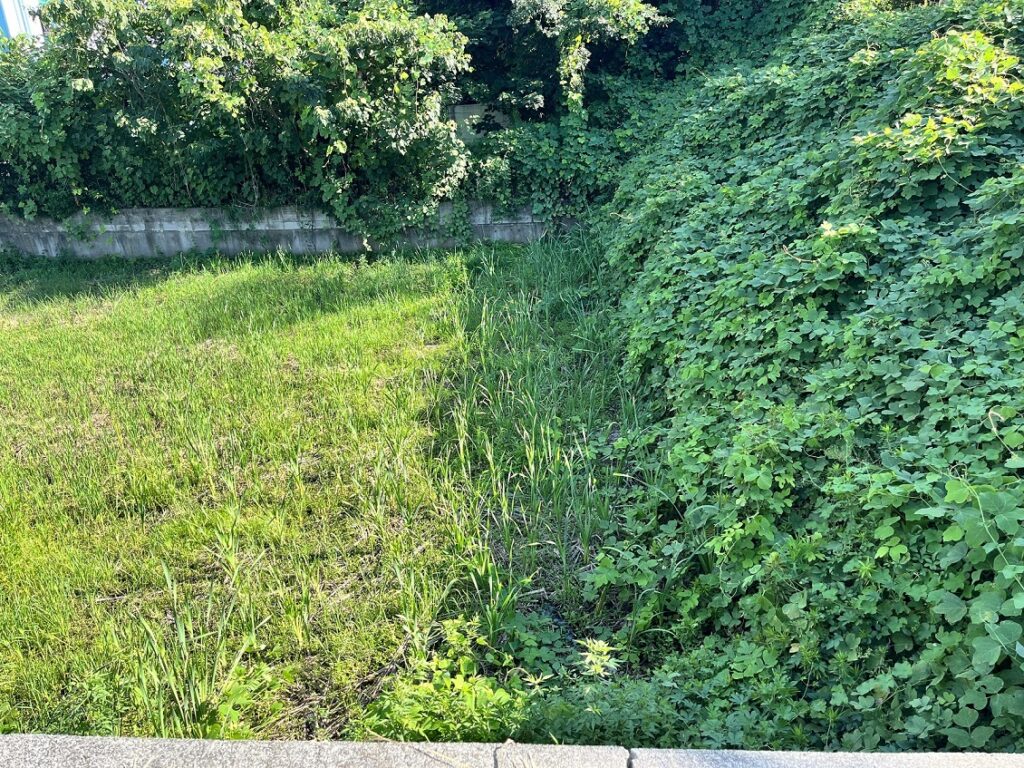 奈良県大和高田市今里町農地物件