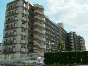 レックスコートオークティ